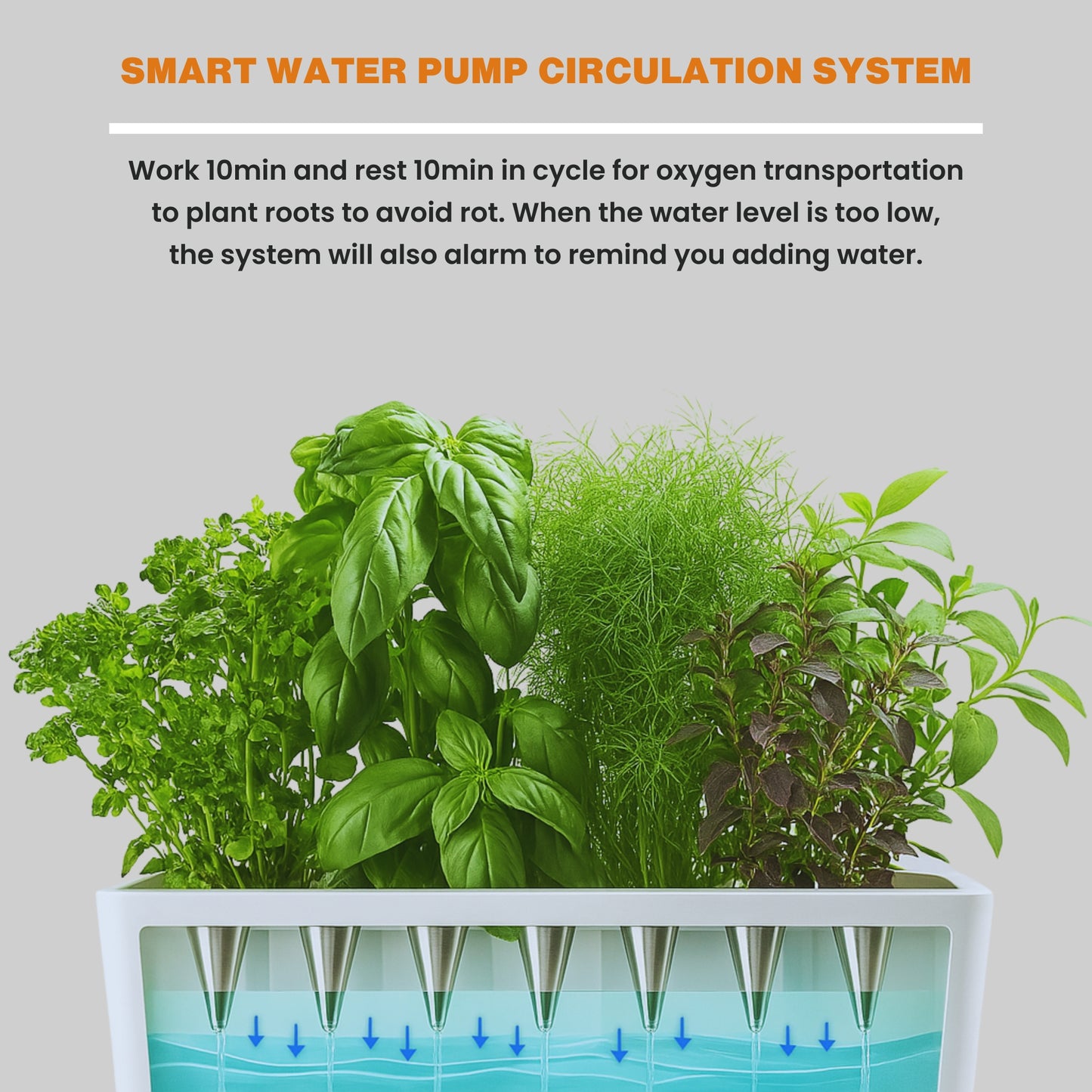 The Smart Garden