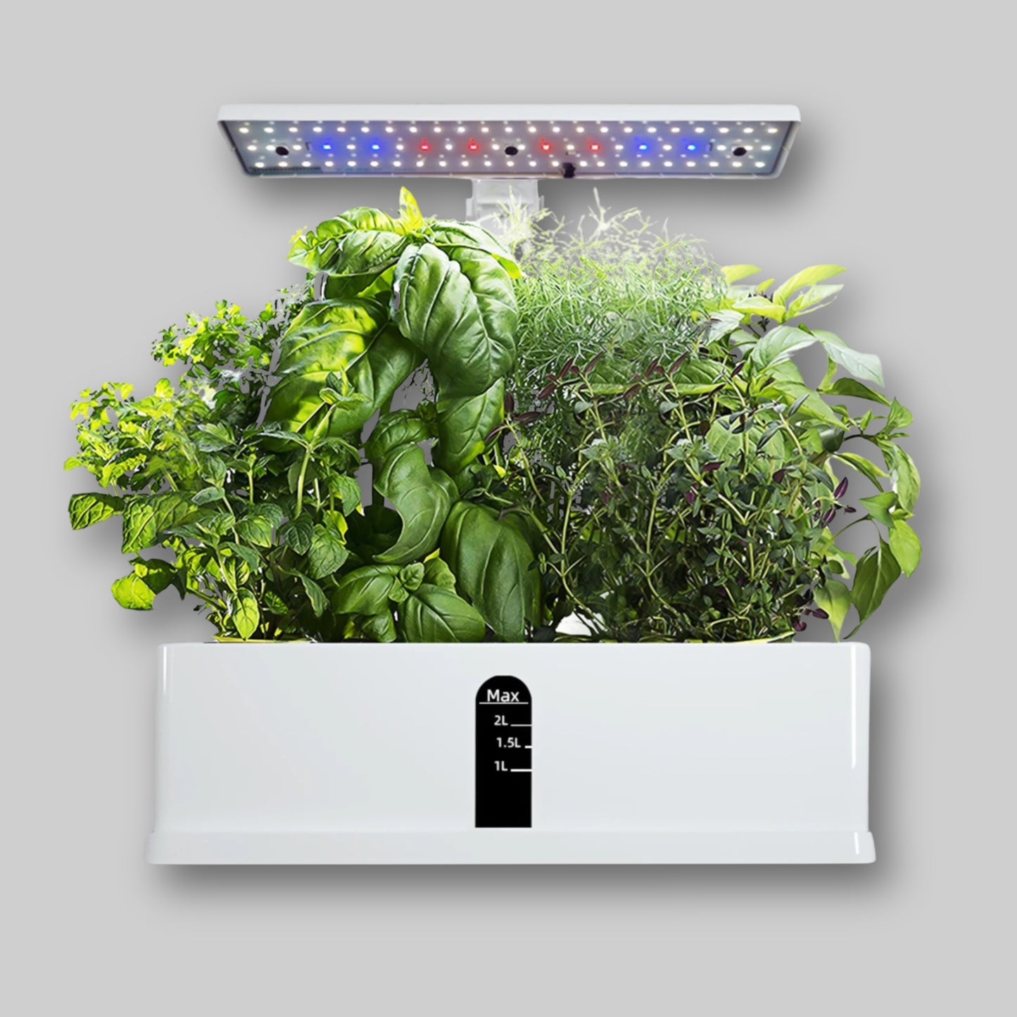 The Smart Garden